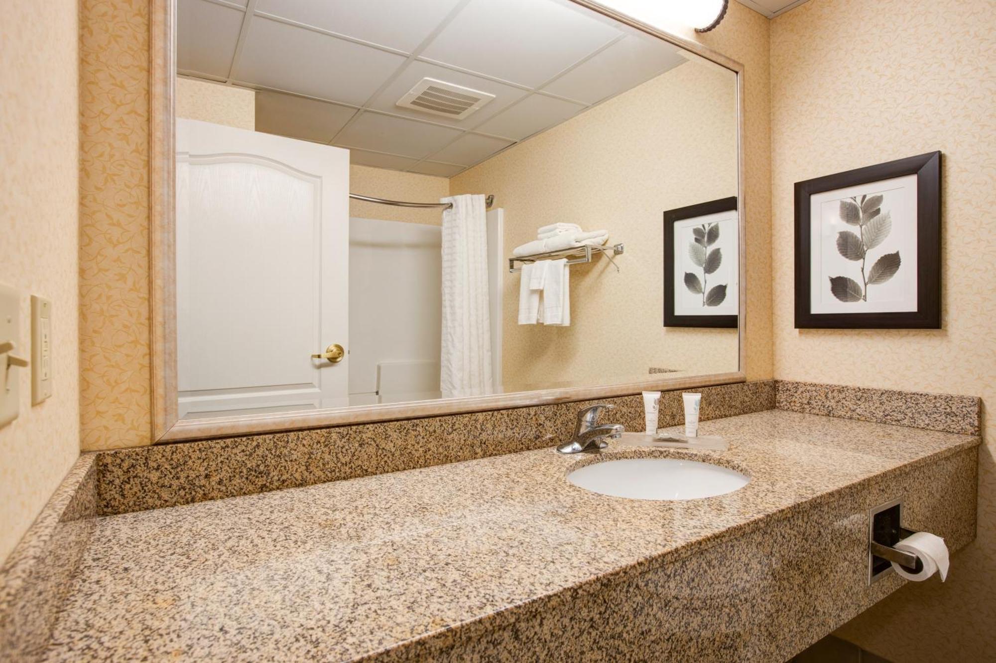 Comfort Inn & Suites St Paul Northeast Vadnais Heights Oda fotoğraf